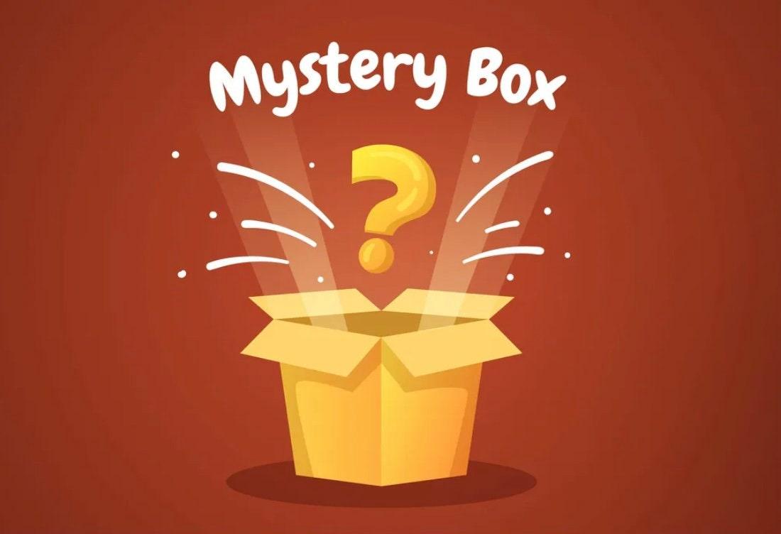 SURPRISE Jewelry Box, Mystery Jewelry Box, Grab Bag, Random Mystery Box of Jewelry, Earrings, Necklace, Rings, Bracelets, Gift, Mystery Box